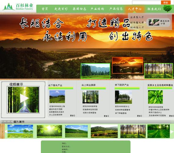 林业开发网站页面设计