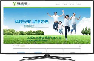 奉贤做网站 奉贤网站制作 奉贤网站建设 奉贤微网站开发