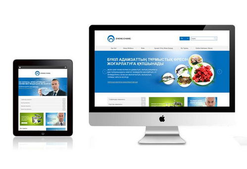 广州网络公司 网站改版与网页设计开发服务详解